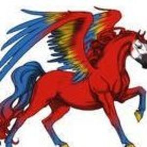 Meet your Posher, Bosspit